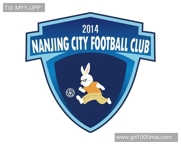 南京足球队意识探讨与发展路径分析助力球队崛起与城市足球文化建设